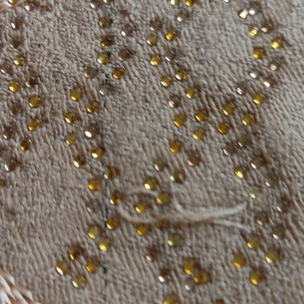 Roop Sari Palace Kashmiri Shawl Tan - Picture 8 of 16